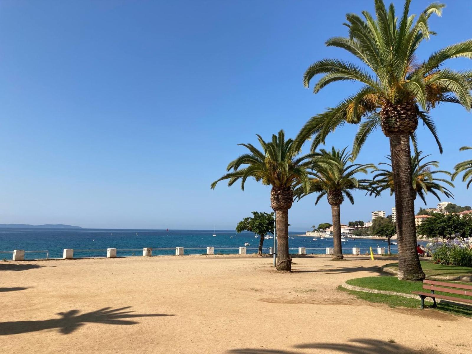 Front De Mer Beau T3 Climatise Balcon Parking Ajaccio 阿雅克肖 外观 照片
